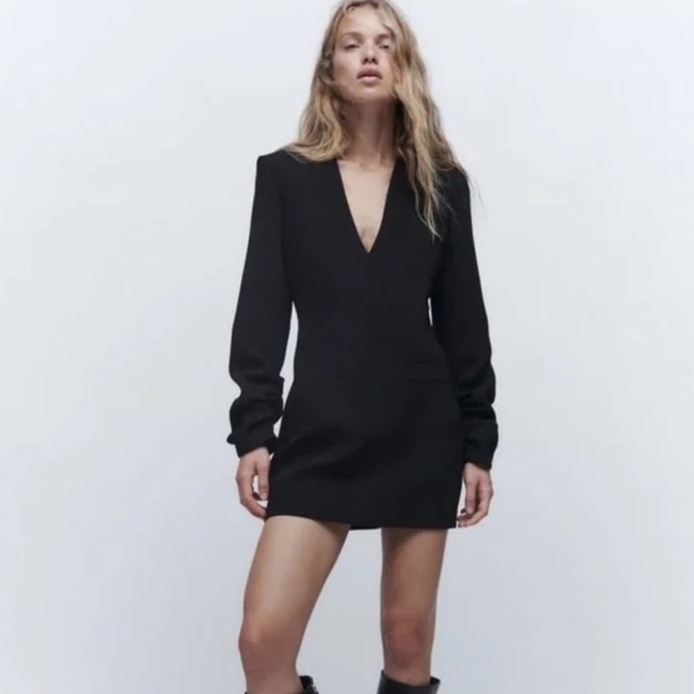 Zara Black Deep V Neck Long Sleeves Dress